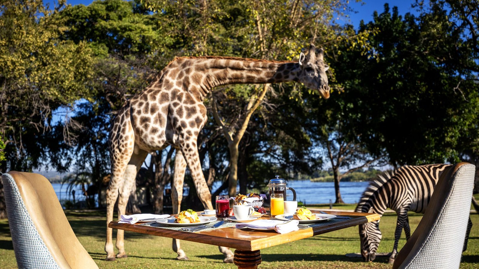 The Royal Livingstone Victoria Falls Zambia Hotel by Anantara interior