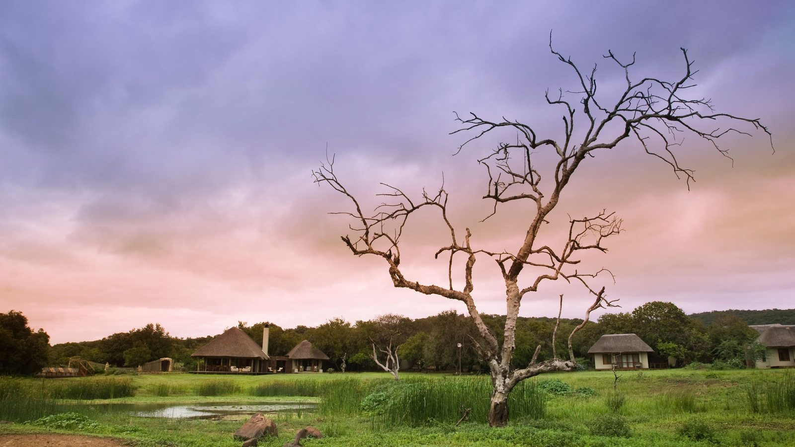 andBeyond Phinda Private Game Reserve interior