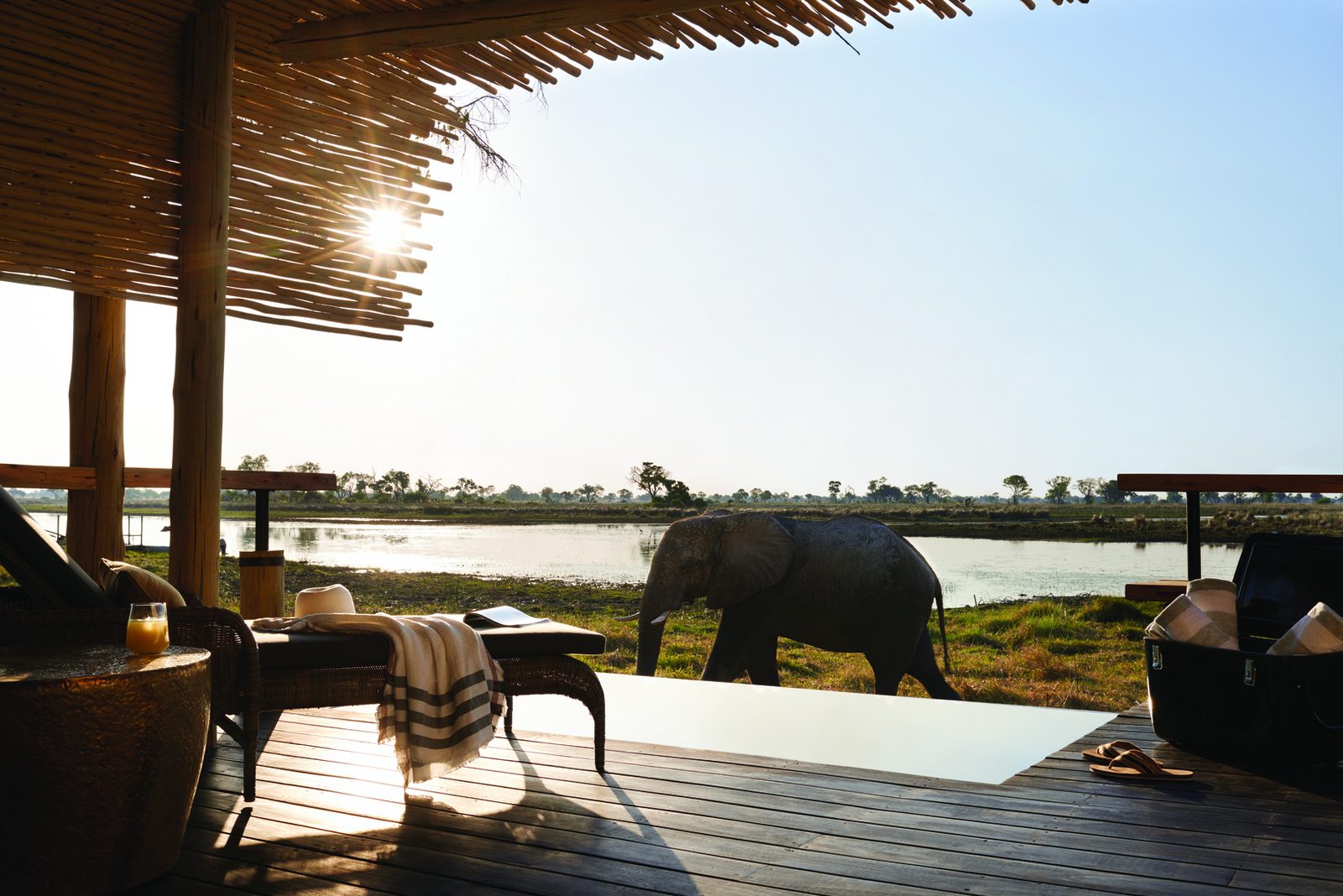 Belmond Safaris (Eagle Island Lodge) interior