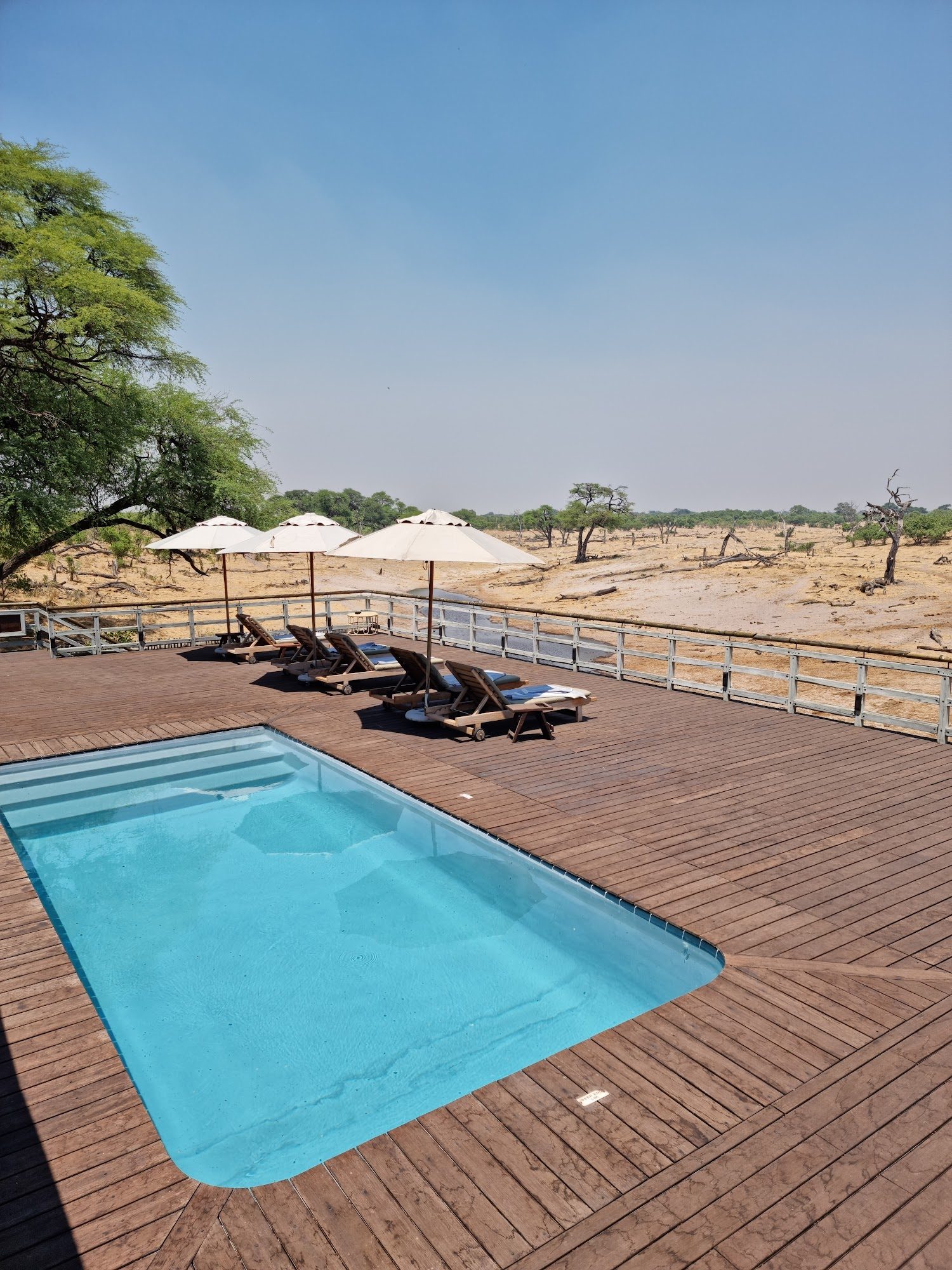 Belmond Safaris (Belmond Savute Elephant Lodge) interior