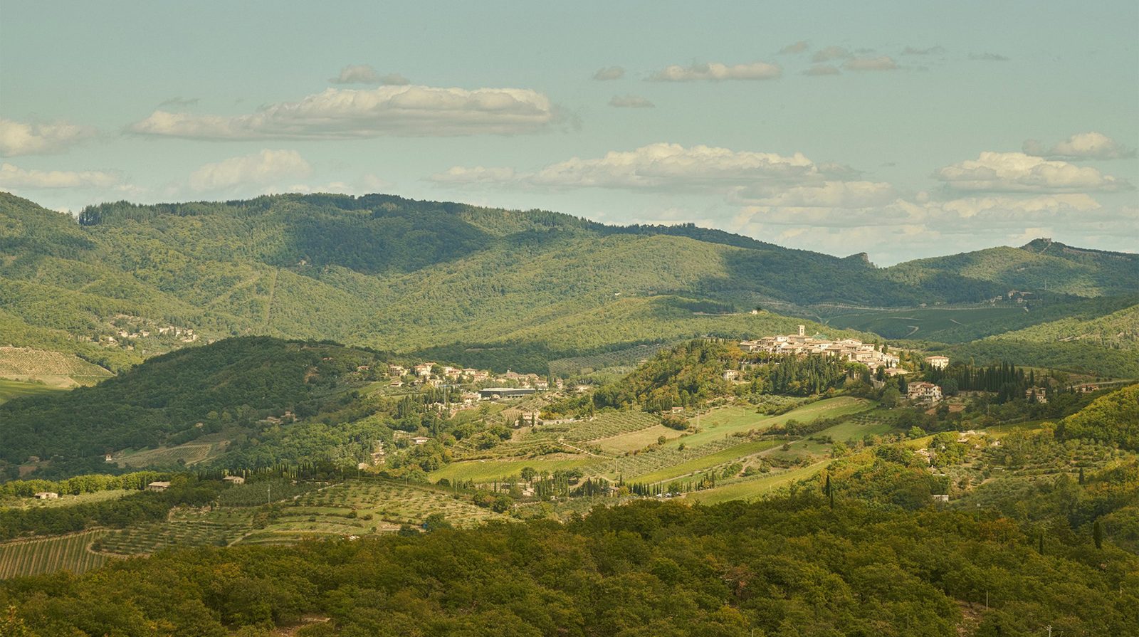 Borgo Vescine