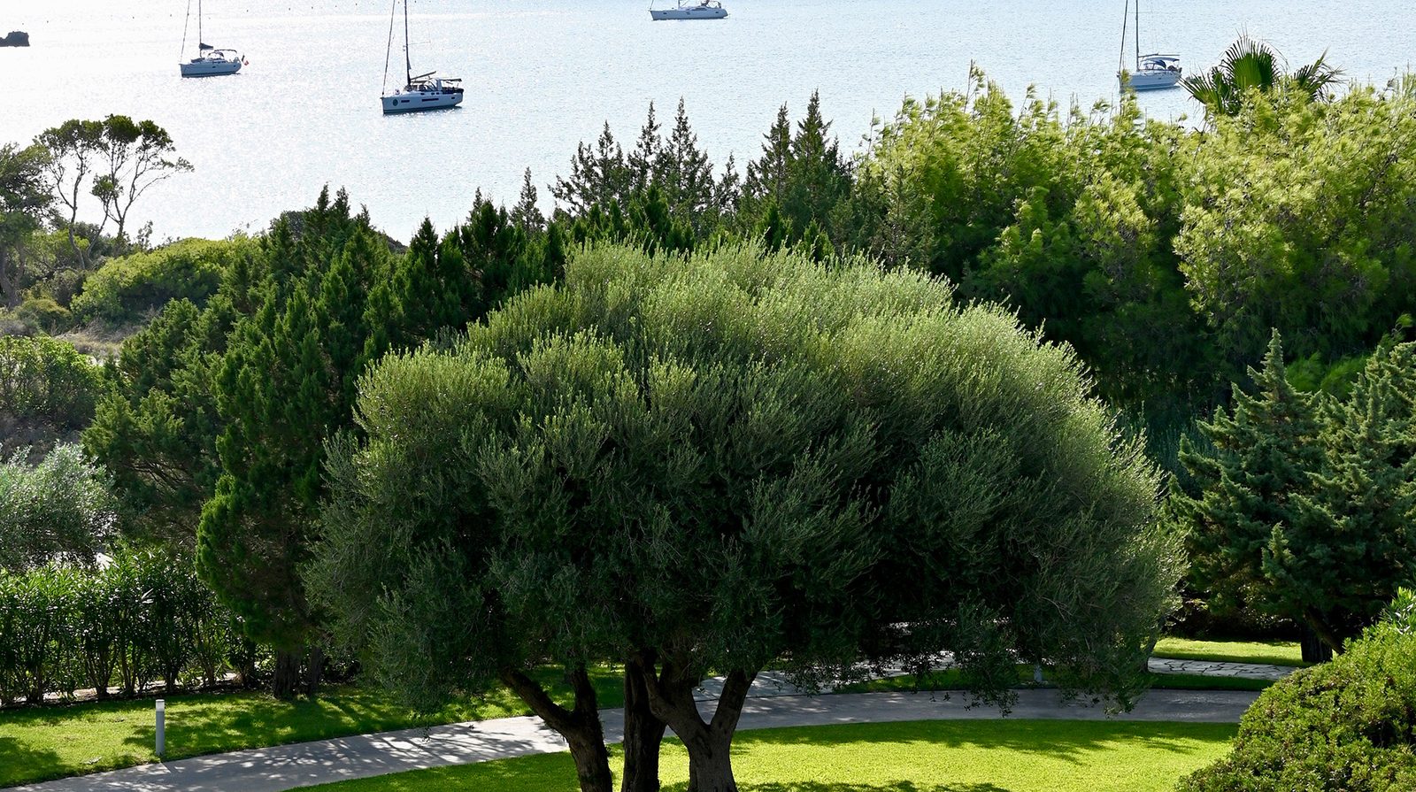 Cape Sounio – A Grecotel Resort to Live interior