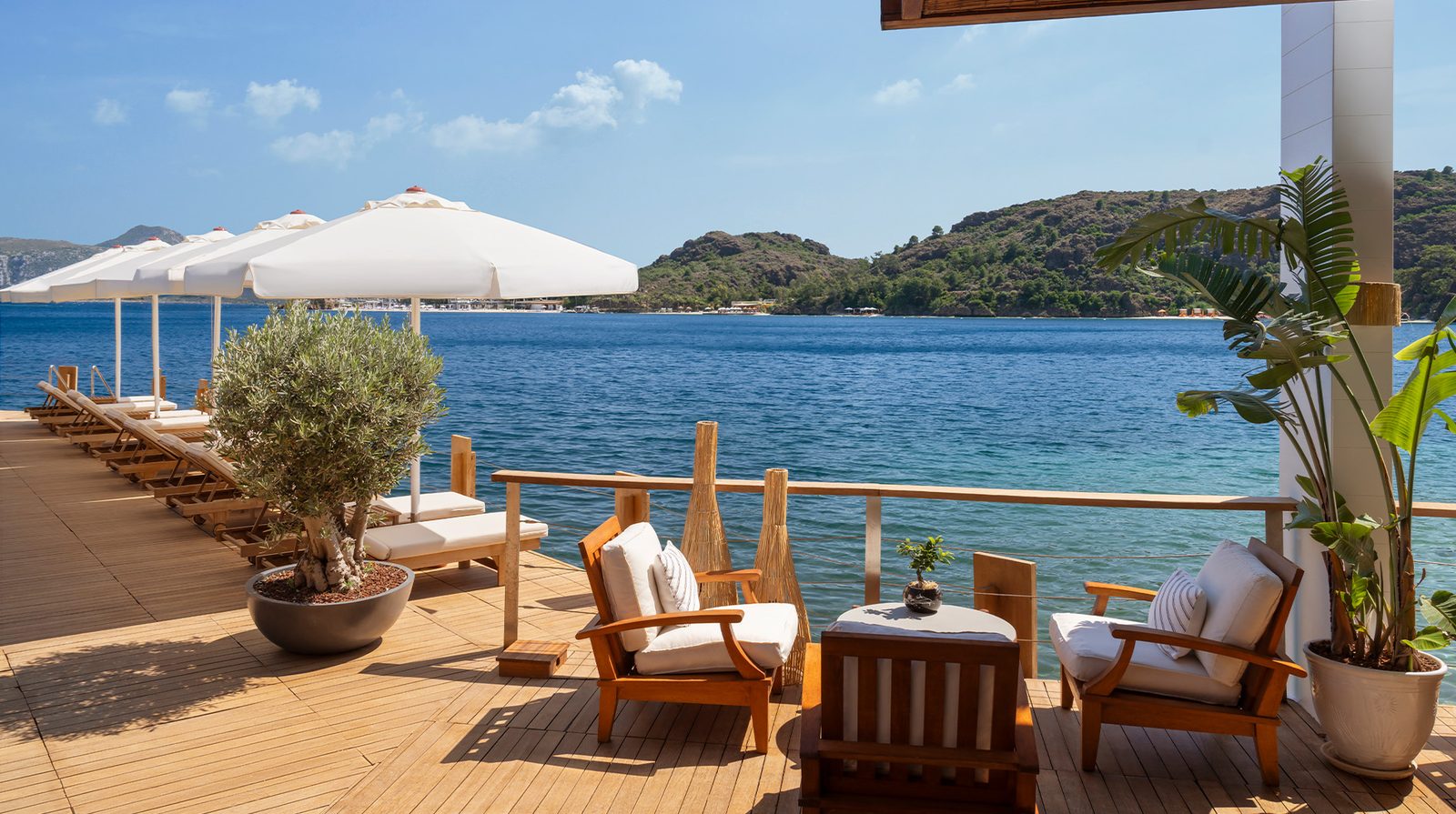 D Maris Bay interior