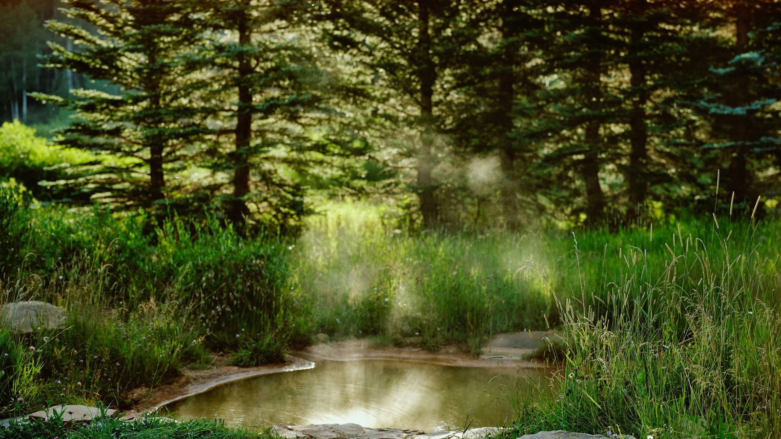 Dunton Hot Springs interior