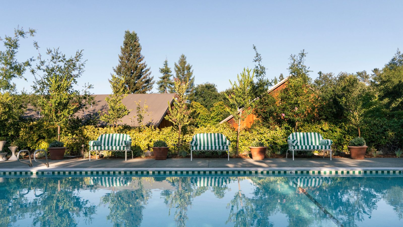 First In: Le Petit Pali St. Helena interior