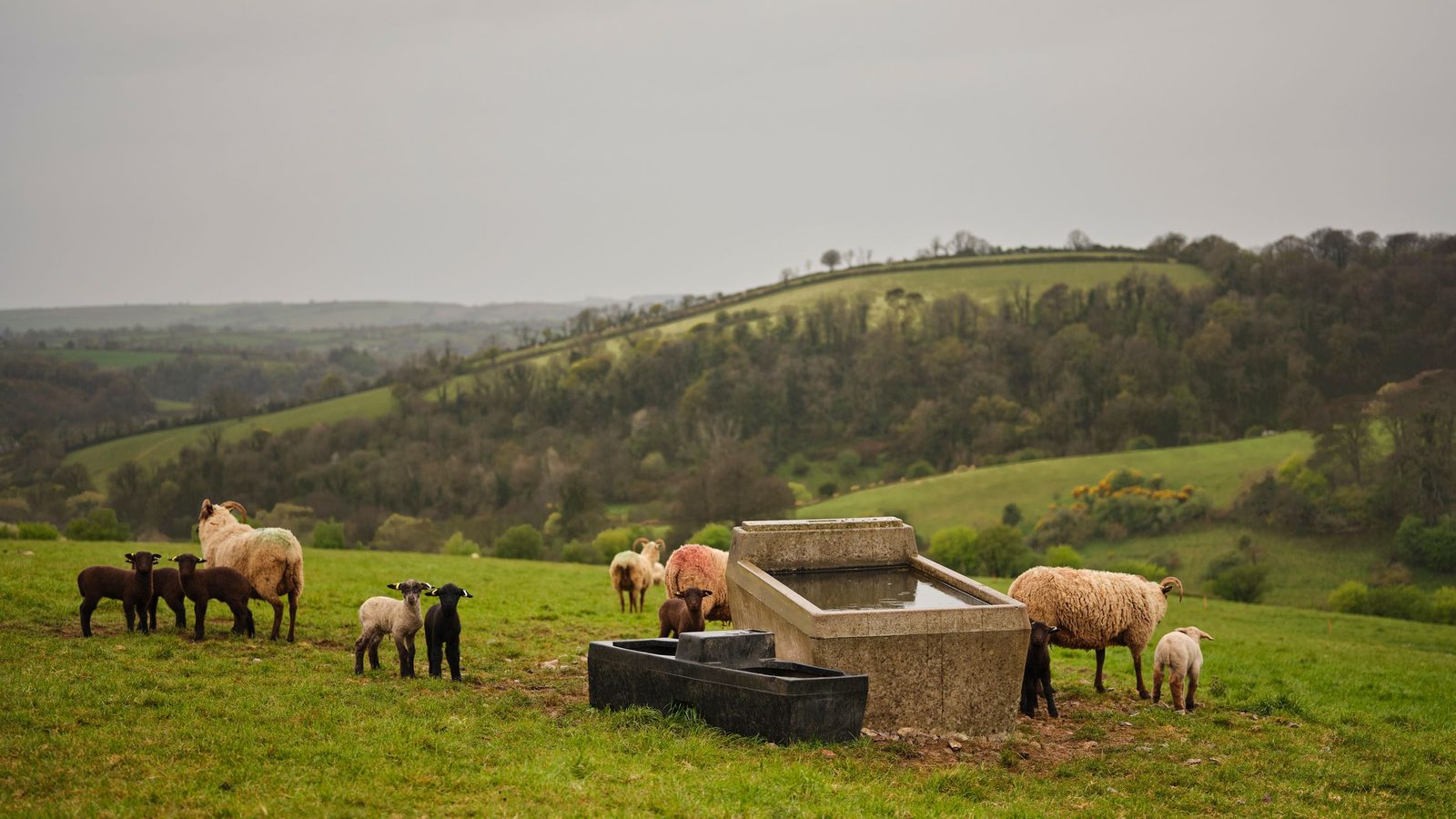 Fowlescombe Farm interior