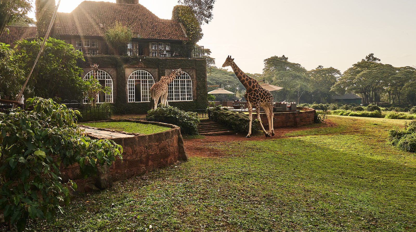 Giraffe Manor