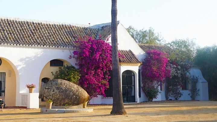 Hacienda de San Rafael interior