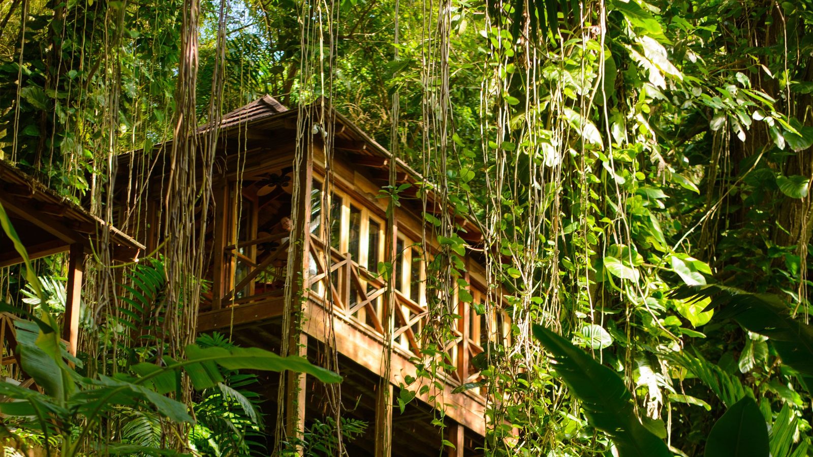 Kanopi House