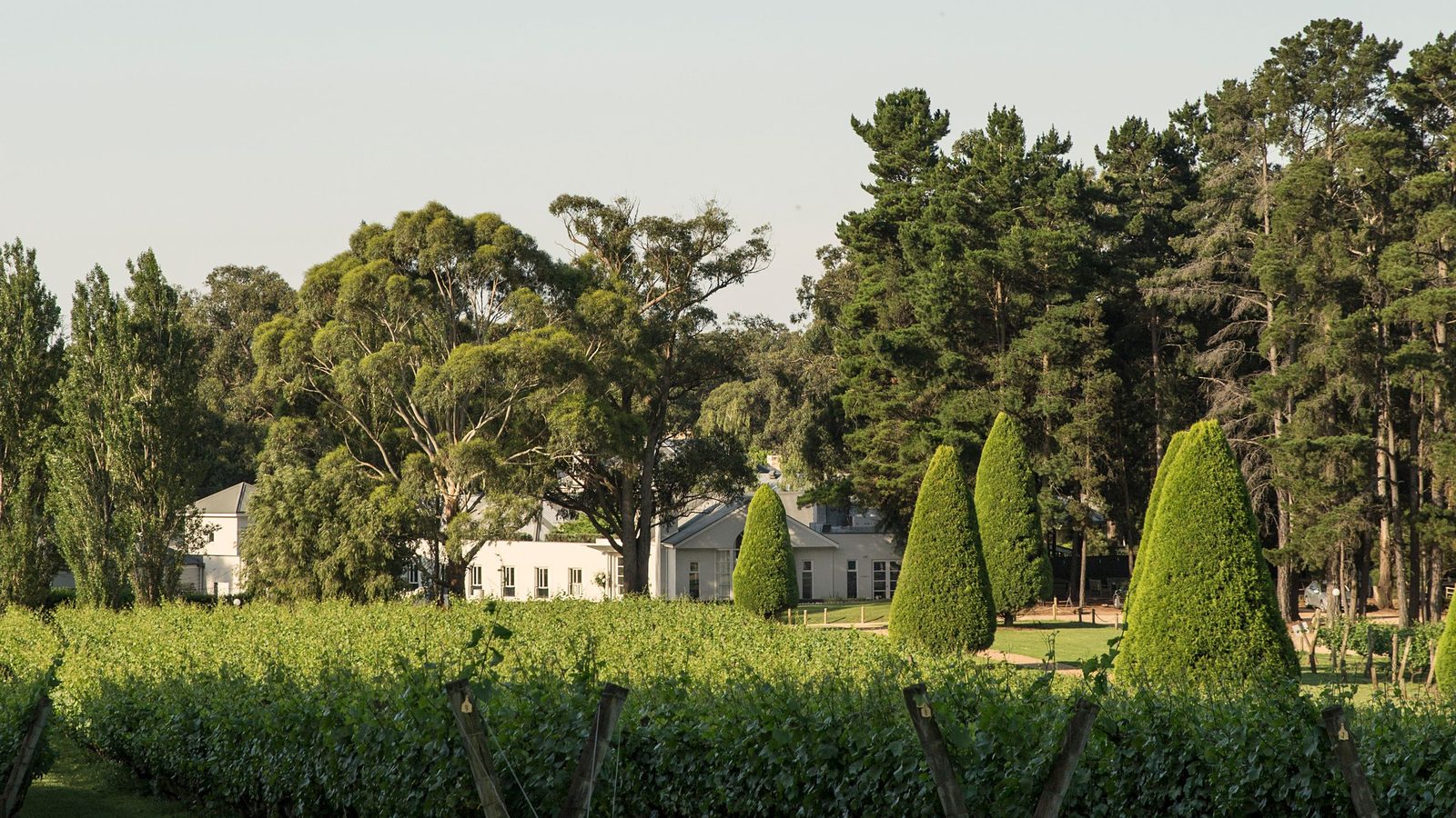 Lancemore Lindenderry Red Hill