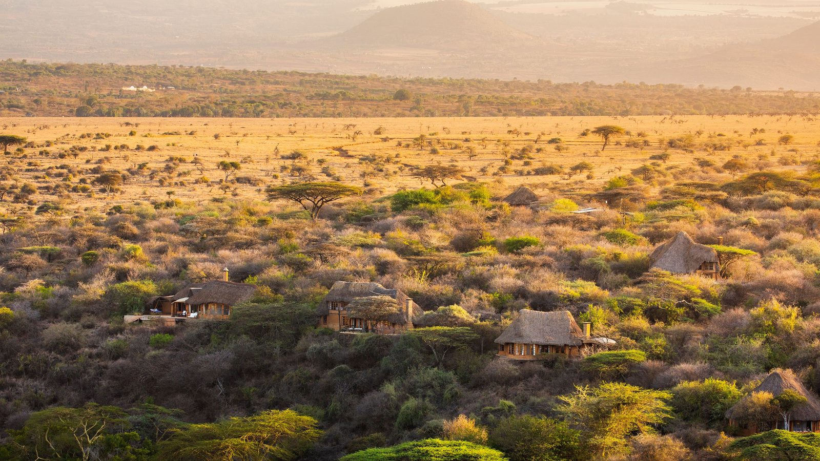 Lewa Wilderness