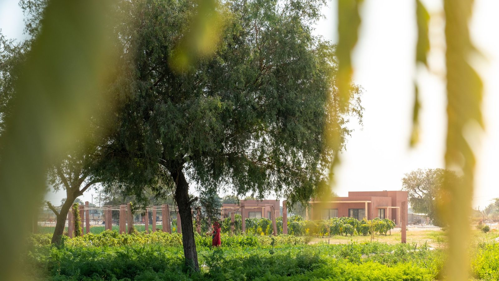 Mharo Khet interior