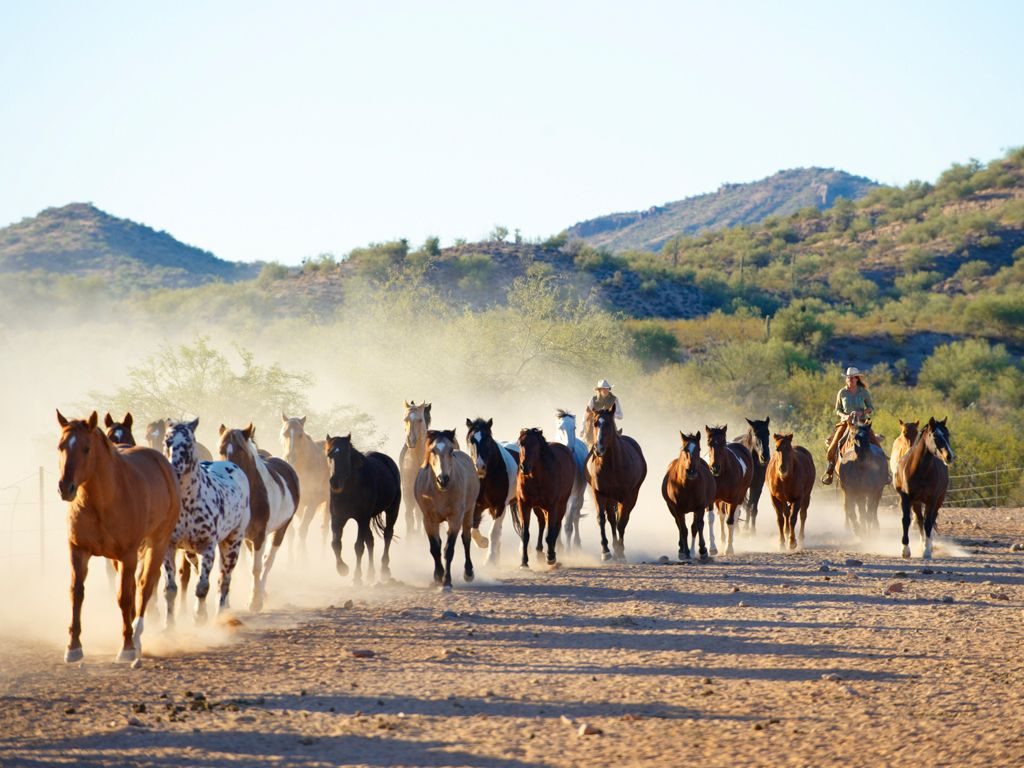 Rancho de los Caballeros interior