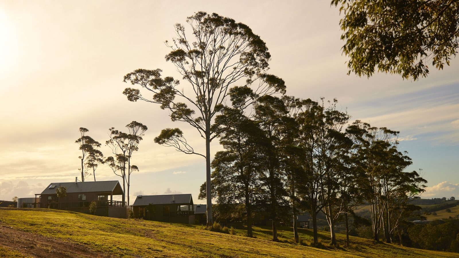 Sun Ranch