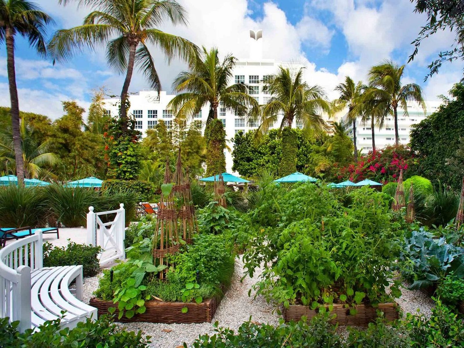 The Palms Hotel & Spa