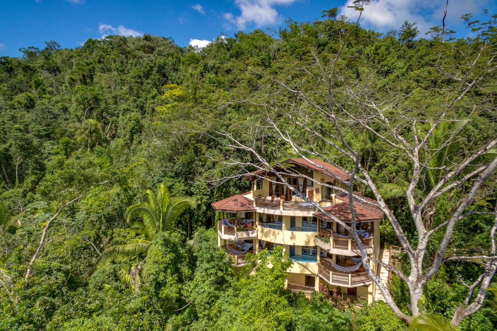 The Rainforest Lodge at Sleeping Giant