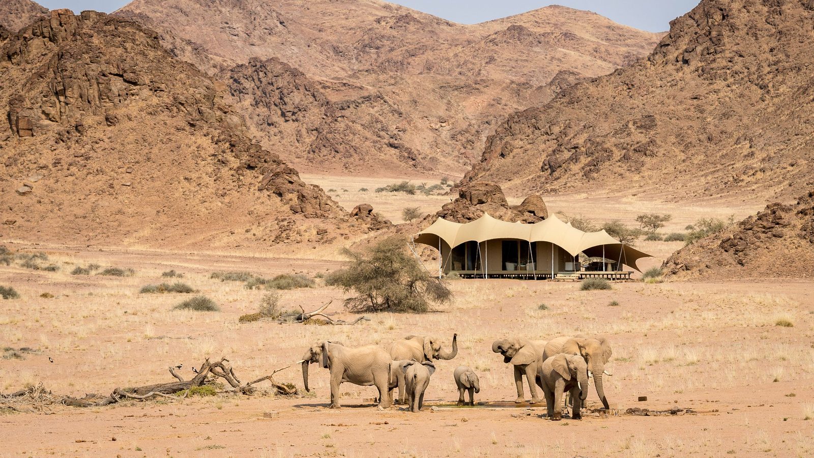 Wilderness Hoanib Skeleton Coast Camp interior