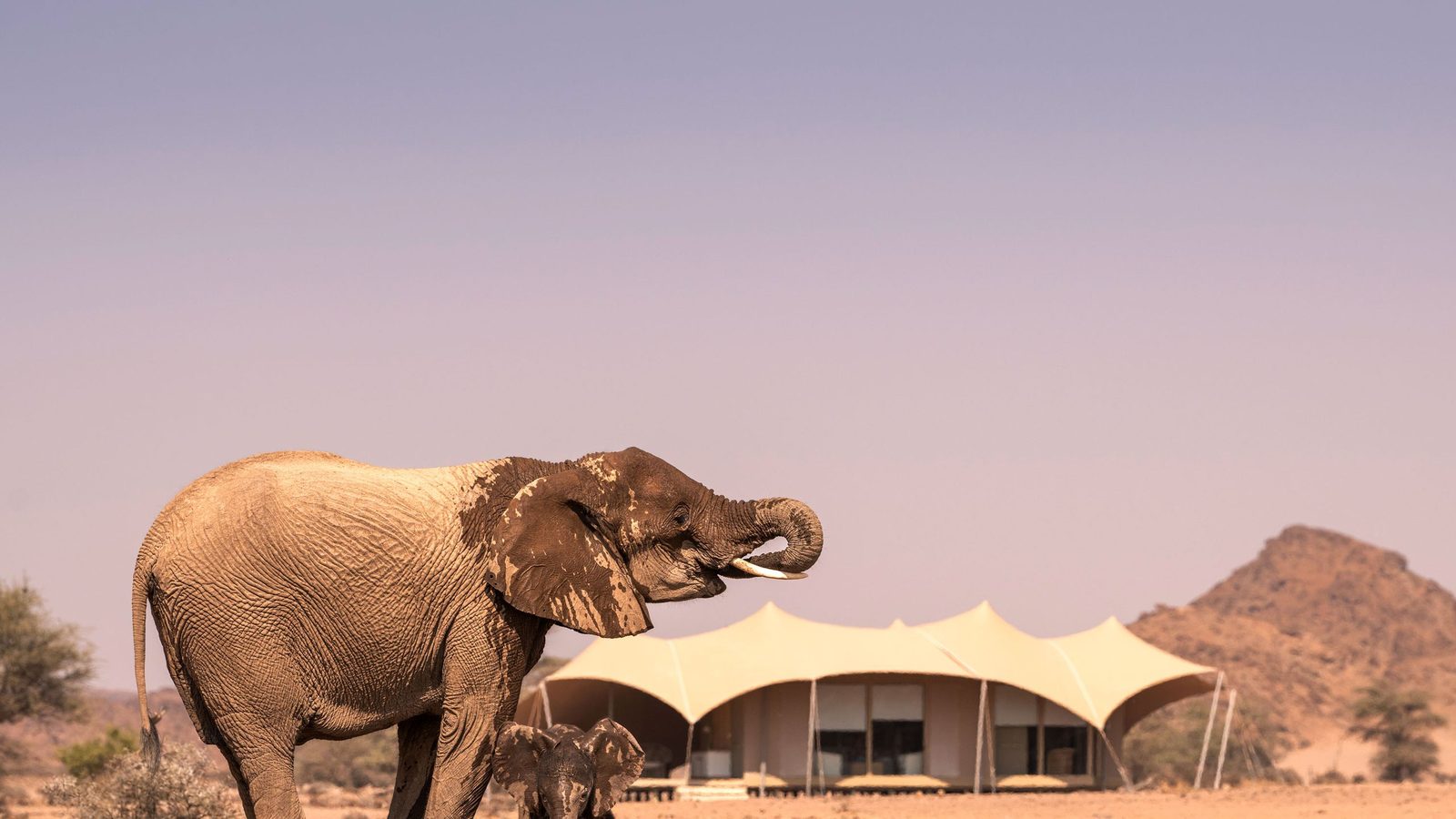 Wilderness Hoanib Skeleton Coast Camp interior